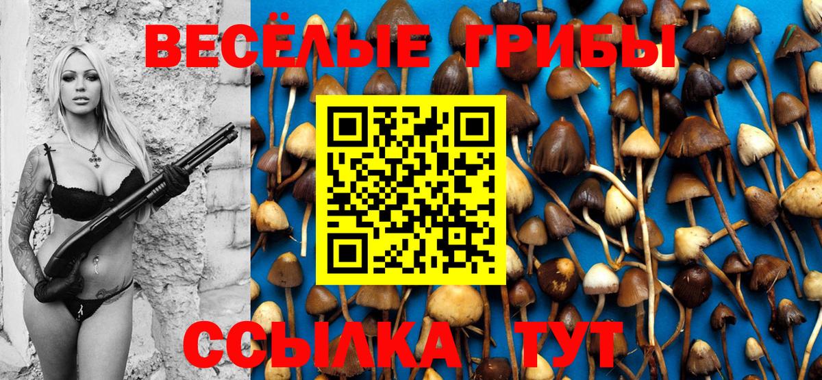 Галлюциногенные грибы Cubensis Кимры